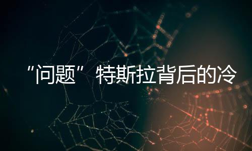 “问题”特斯拉背后的冷思考:节能环保可以无节操?