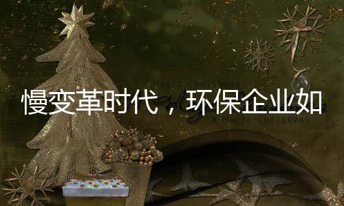 慢变革时代,环保企业如何规划发展节奏?|青山