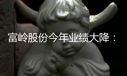 富岭股份今年业绩大降:存货与应收账款偏高,偿债能力弱于同行